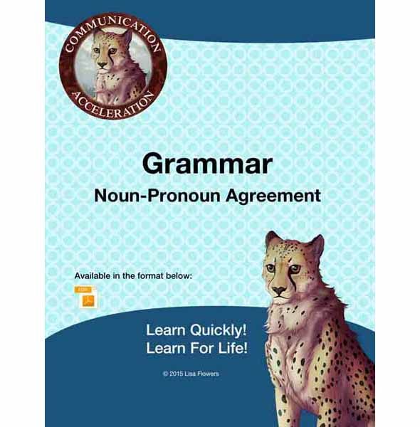 Grammar - Noun-Pronoun Agreement