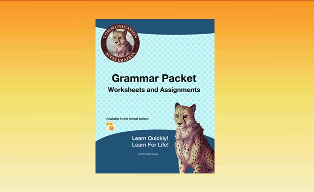 Grammar Packet of Worksheets Lisa Flowers